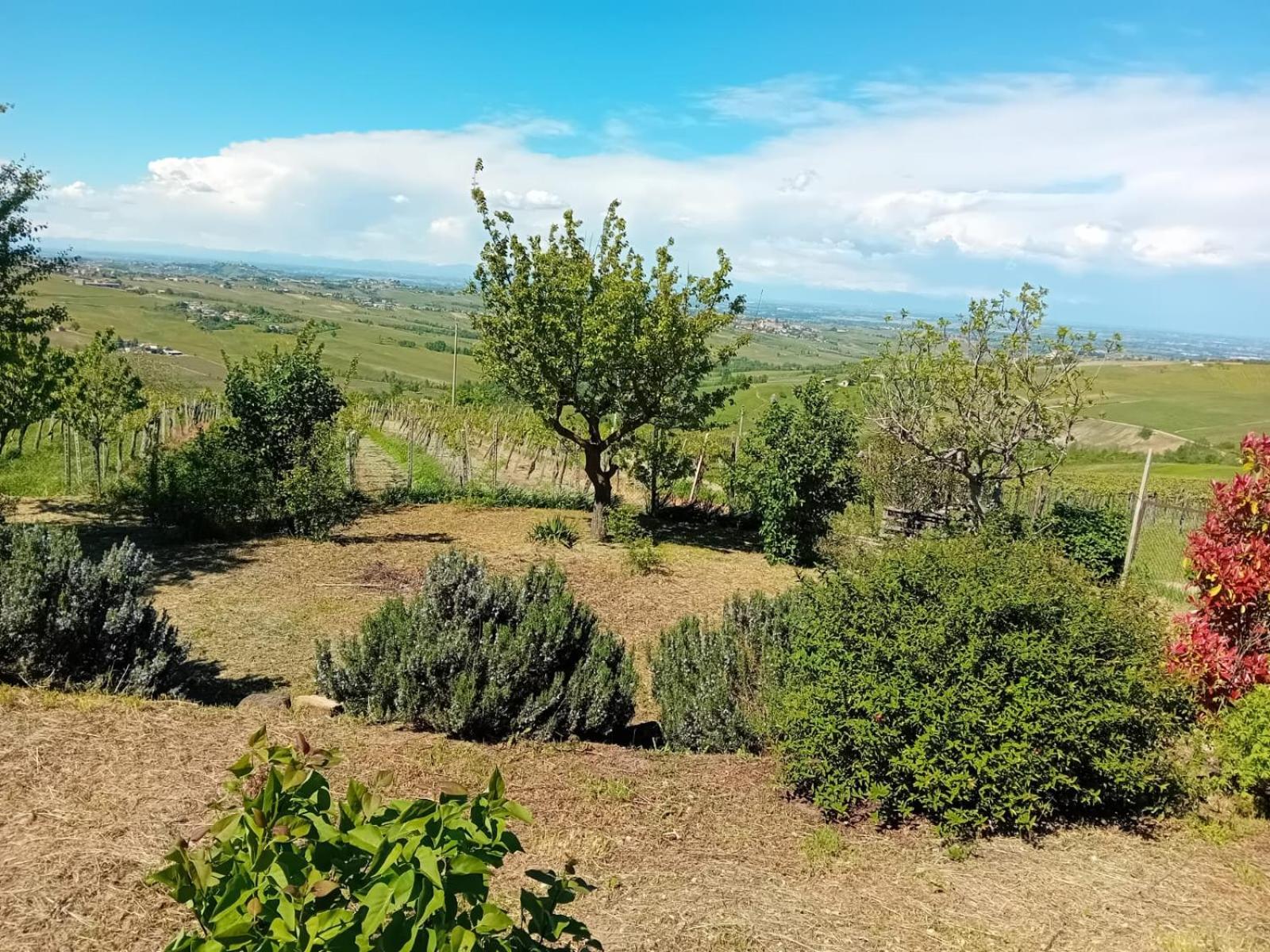 Nife Tiny House - Secret Garden Villa Montalbo Exterior photo
